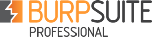 Burp-suite-pro-va-scanner