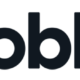 Infoblox Logo