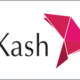 bKash Logo